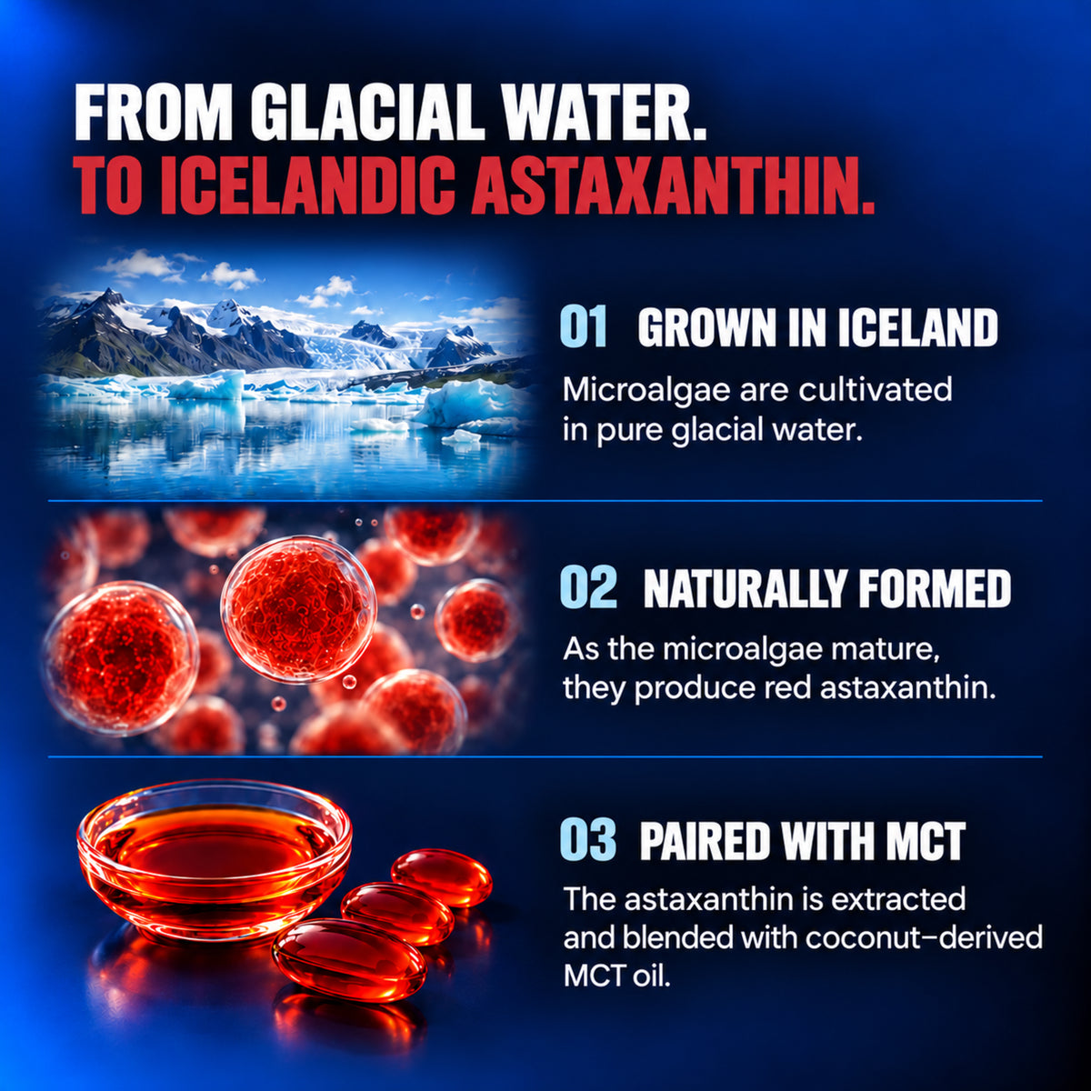 From glacial water to Icelandic Astaxanthin: grown in Iceland, naturally formed, paired with MCT.