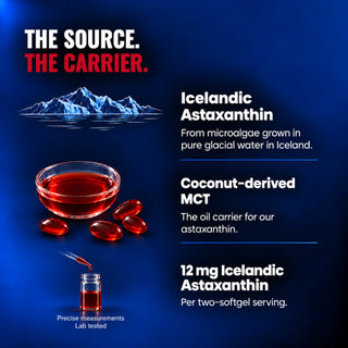 Icelandic Astaxanthin source and coconut-derived MCT; 12 mg per two-softgel serving; precise measurements and lab tested.
